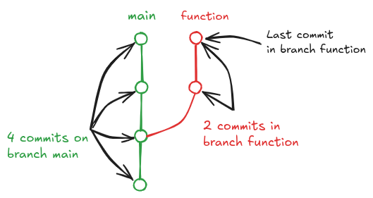 Diagram of a git tree that shows the main branch with 4 commits and a secondary branch called function that starts from commit 2 in the main branch anas has 2 new commits, independent from the main.