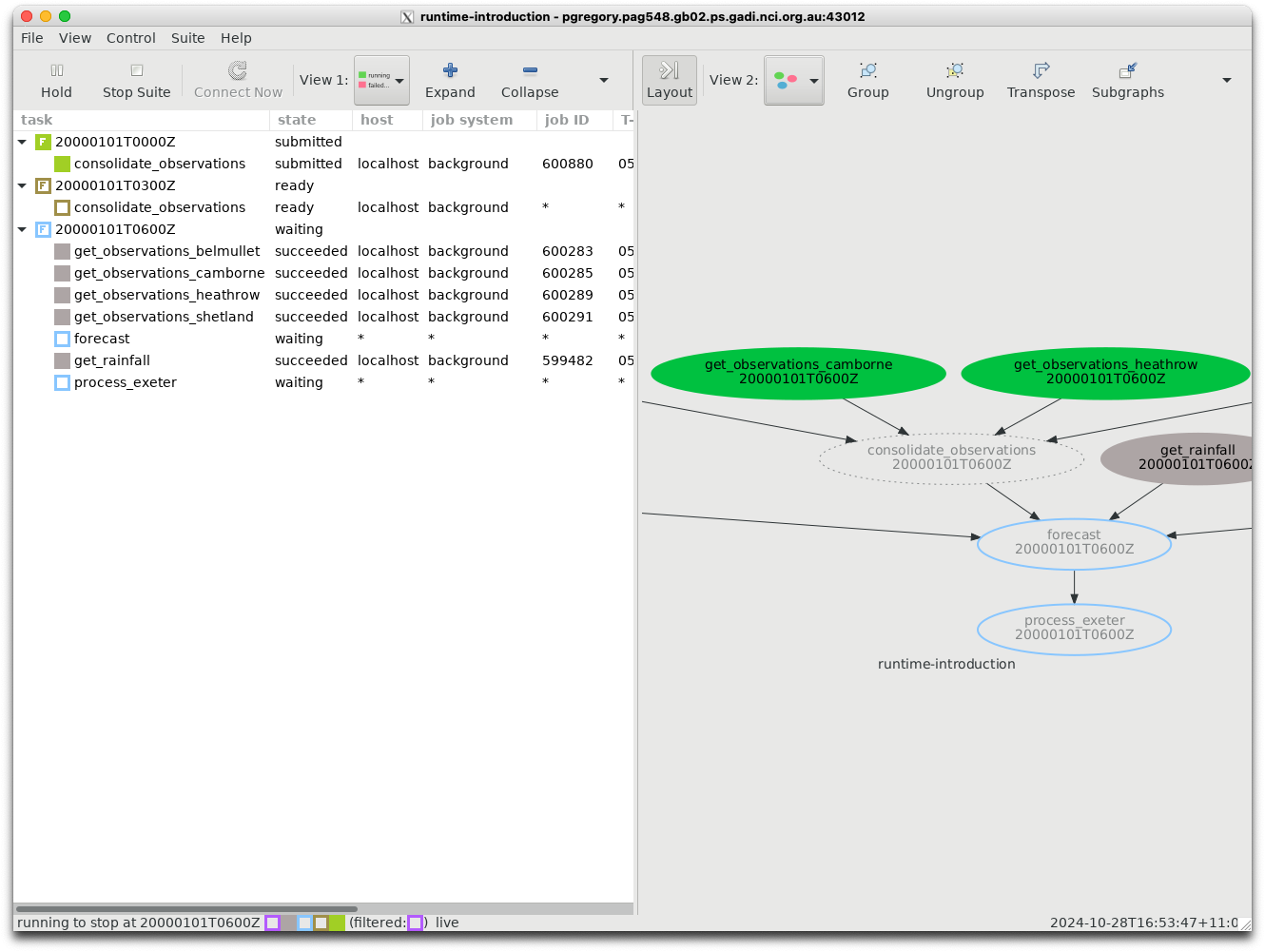 Simple cylc runtime