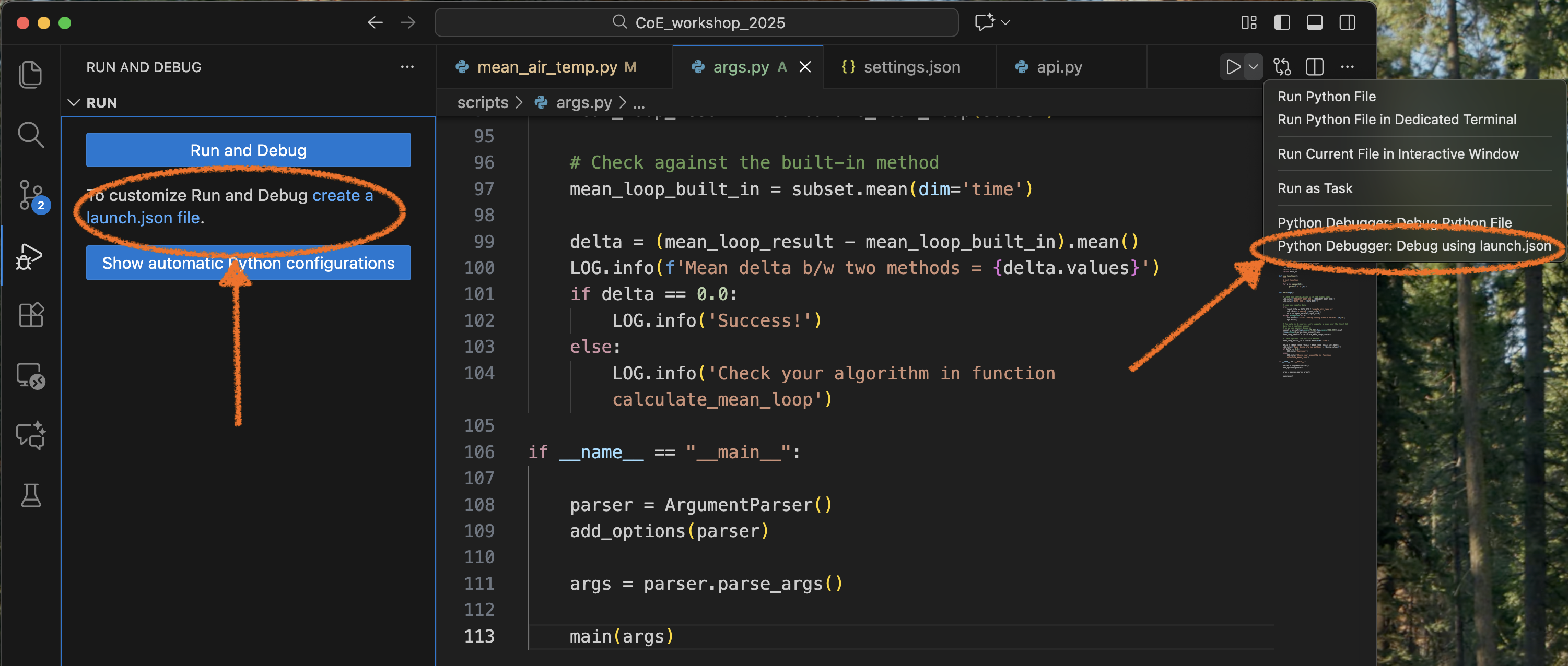 Customising the debug launcher